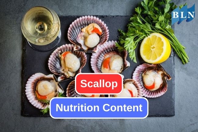 Here are the Nutritional Content in Scallop
